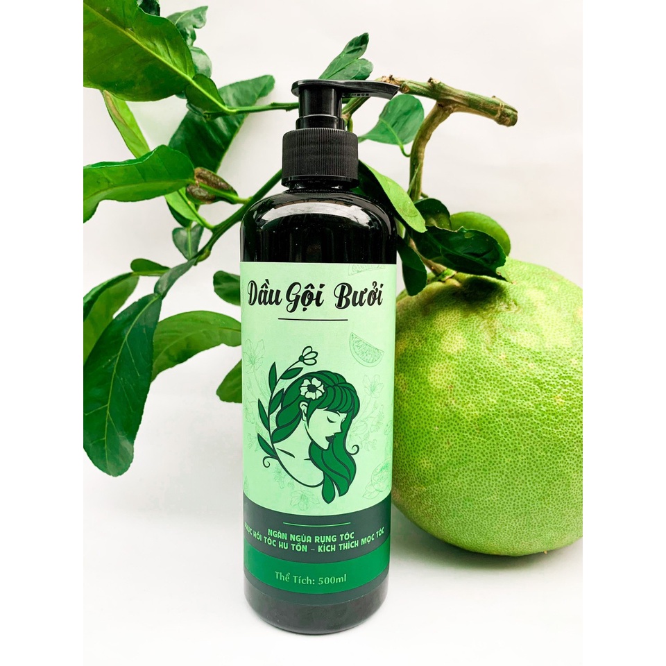Dầu gội bưởi cô đặc thiên nhiên 500ML sạch gàu, kích mọc tóc nhanh, ngăn rụng tóc