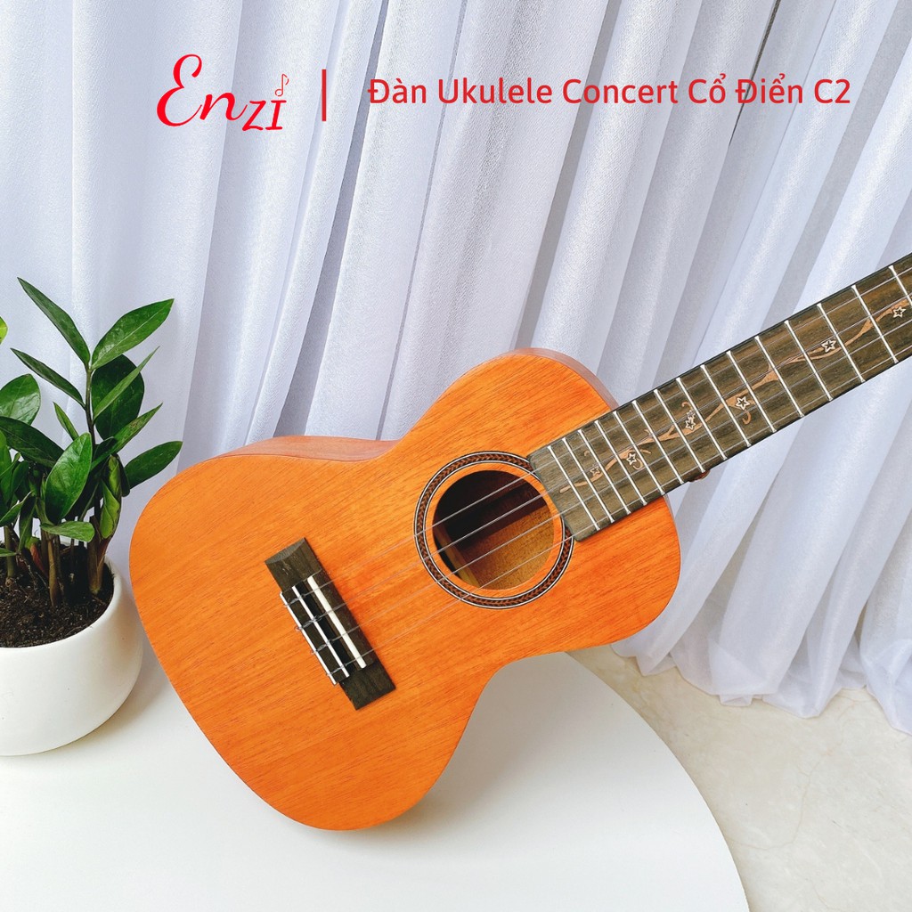 Đàn ukulele concert 23 inch Enzi C17D Viền hoa mặt trời với khóa đúc cao cấp và kèm khuy đeo dây tiện lợi