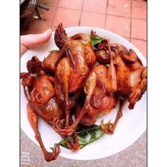 [HCM - 1 GIỜ] CHIM CÚT ƯỚP LÁ MÓC MẬT CỰC NGON - NUONGFOOD