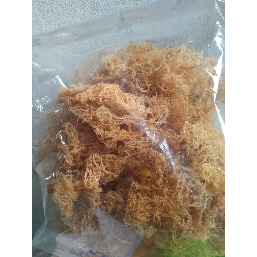 500g RONG SỤN KHÔ - RONG BIỂN SỤN KHÔ ĐÀ NẴNG