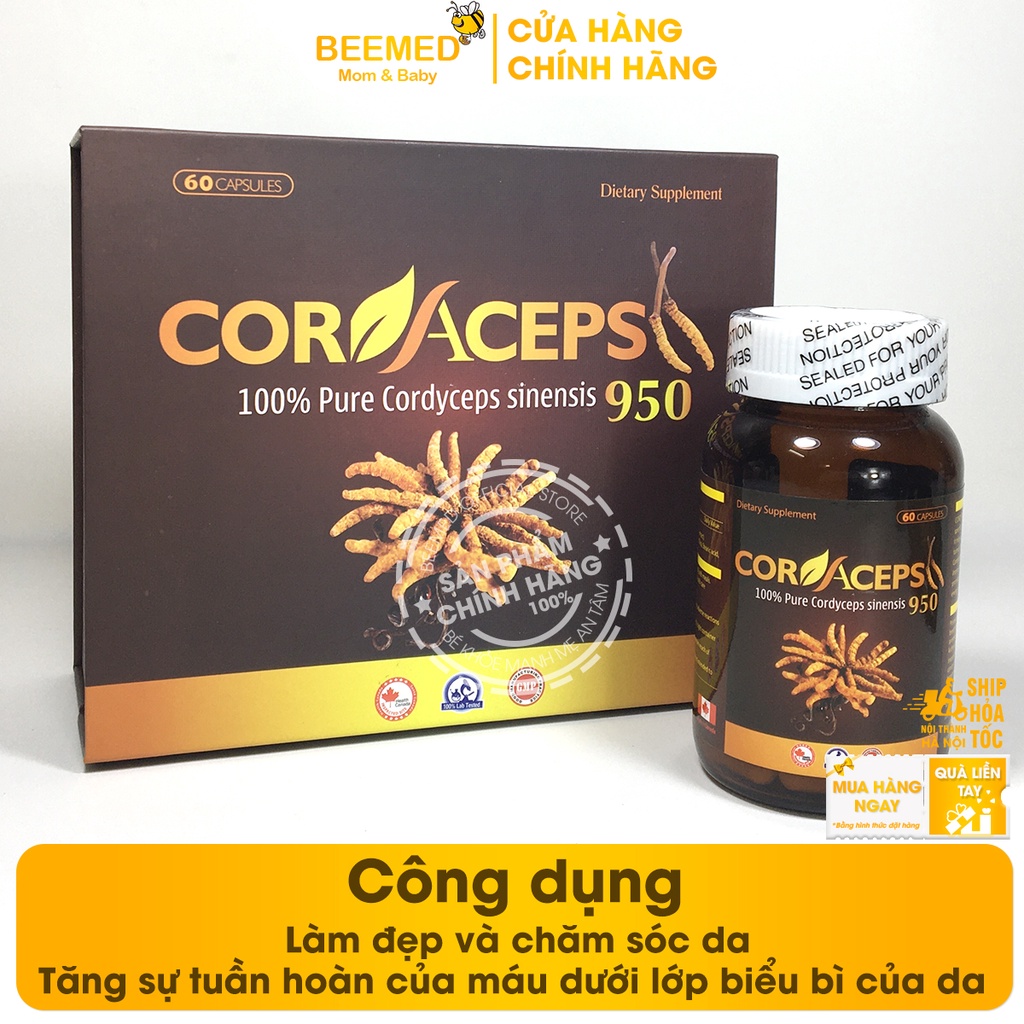 Đông trùng hạ thảo Cordaceps - bồi bổ cơ thể, giảm lão hóa - nhập khẩu từ Canada hộp 60 viên giảm mệt mỏi