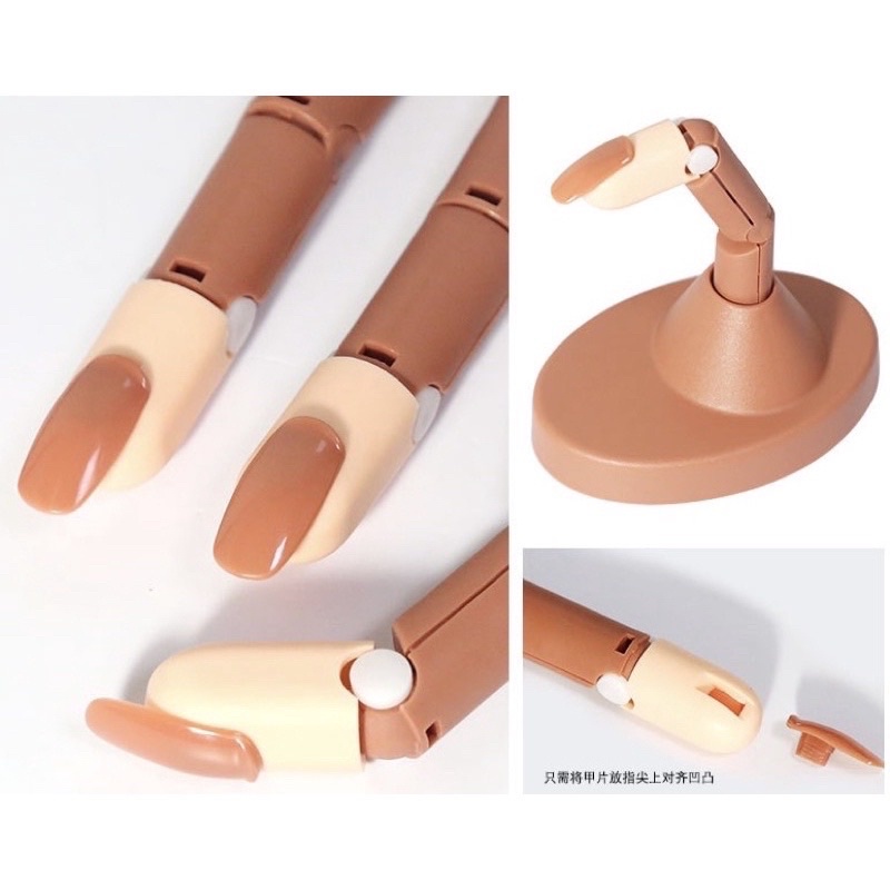 BỘ NGÓN TAY KHỚP HỌC NAIL