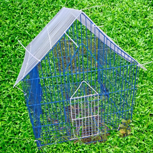 Lồng nuôi gà tre sơn tĩnh điện, nhiều màu sắc, khoảng cách nan 1.5cm lồng 45cm x50cm x50cm