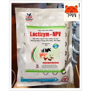 Lactizym 500g npv-Men tiêu hoá sống, hỗ trợ đường ruột.