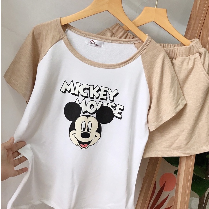 Set Bộ Thể Thao Nữ Mùa Hè Phối Màu Raglan Hot Hit Đồ bộ đùi nhiều màu cá tính Alala