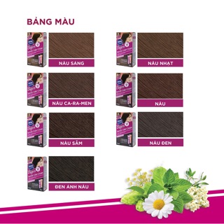 Thuốc Nhuộm tóc thảo dược bigen nhật