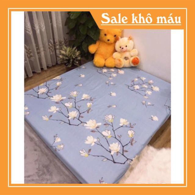FREESHIP - SIÊU GIẢM GIÁ - Ga chống thấm Cotton cao cấp loại 1 -HCM