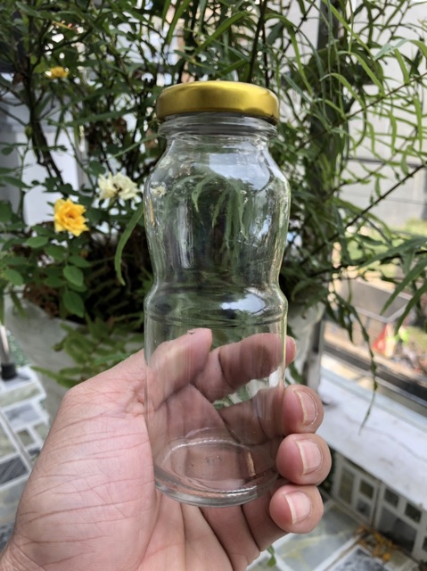 Chai thuỷ tinh 200ml gồm nắp thiếc