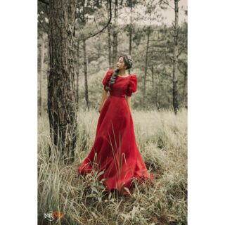 Đầm cưới,  đầm dạ hội tay búp - hàng thiết kế cao cấp