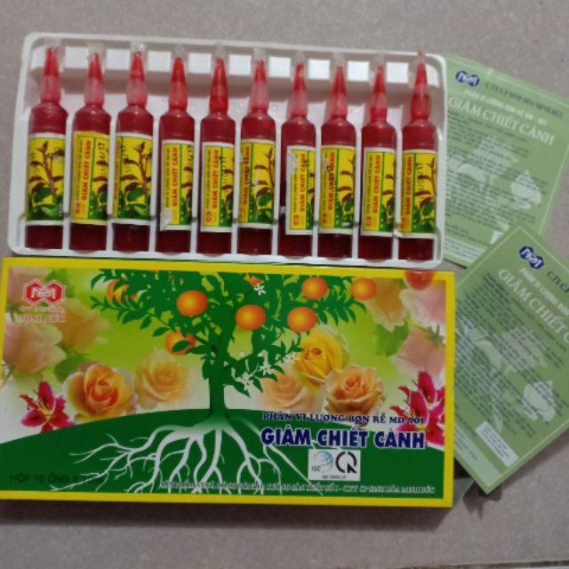 Hộp 10 ống Giâm chiết cành MD 901 siêu kích rễ Hoa Hồng, Hoa Giấy, Cúc, Thược Dược, Cây ăn quả