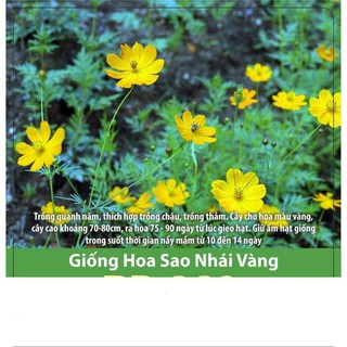 Hạt Giống Hoa Sao Nhái Vàng 0.1gr