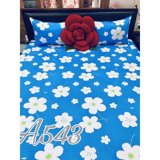 Trọn bộ Drap cotton 100% (4món)
