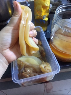 Nấm kombucha