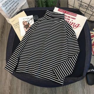 [Order 7-10 ngày] Pull dài tay cổ cao