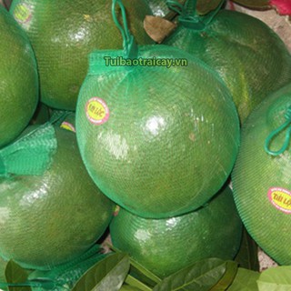 1kg Túi cước dài 25cm màu xanh kèm móc khóa - BLX25