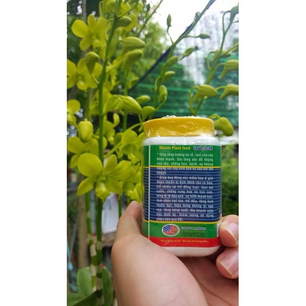 Phân NPK 10-60-10 Growmore loại 100g