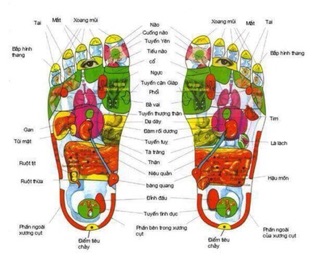 THẢO DƯỢC NGÂM CHÂN I'M NATURE