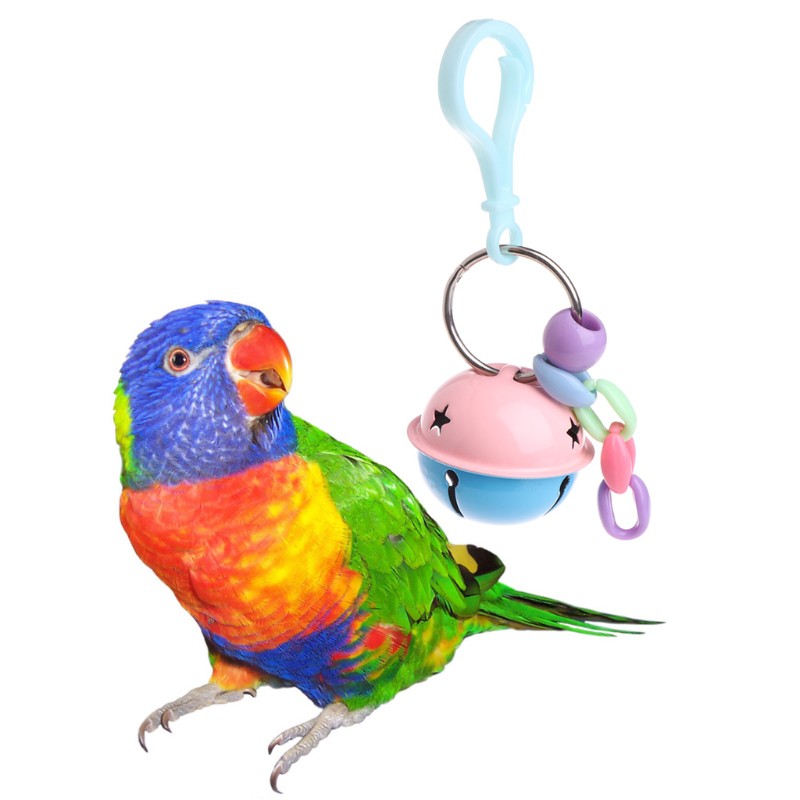 Đồ chơi chuông kêu vui nhộn dành cho chim vẹt cưng
