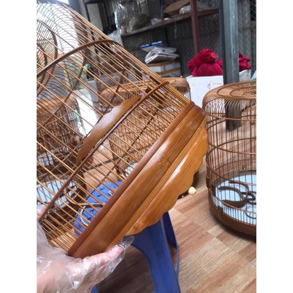 DẦU QUÉT LỒNG CHIM GIÁ RẺ