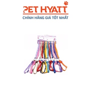 Zichen dây dắt vòng cổ cho thú cưng