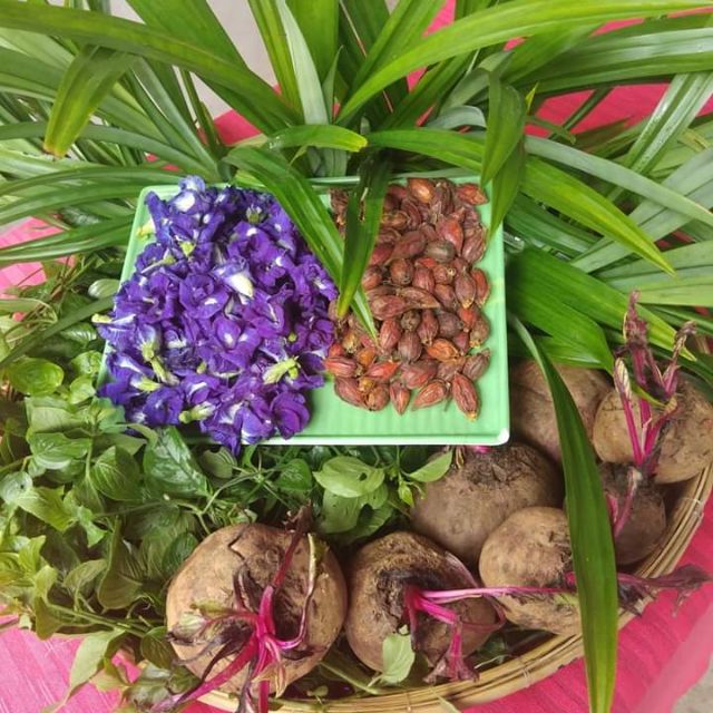 Cùi bưởi,khoai dẻo,trân châu