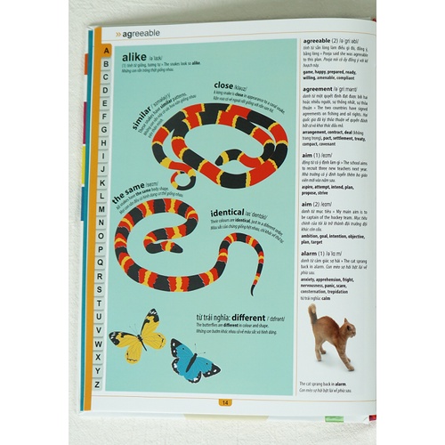 Sách - Children's Illustrated Thesaurus - Từ điển đồng nghĩa dành cho trẻ em