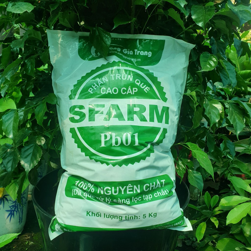Phân trùn quế  Sfarm PB01