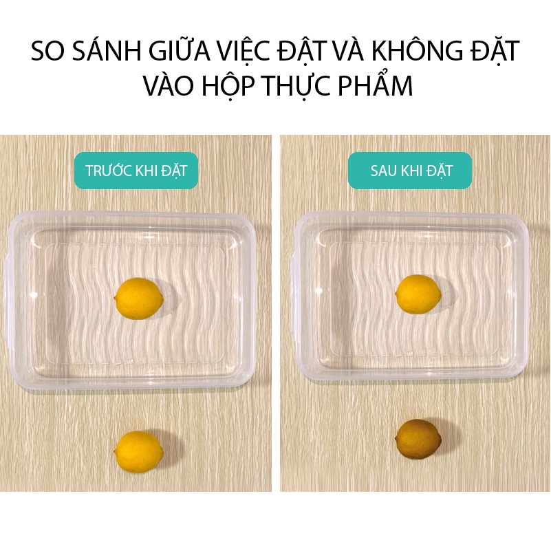 Hộp Đựng Thức Ăn Không Mùi Kháng Khuẩn,Hộp Bảo Quản Thực Phẩm Tủ Lạnh(2 Tầng 1 Nắp)
