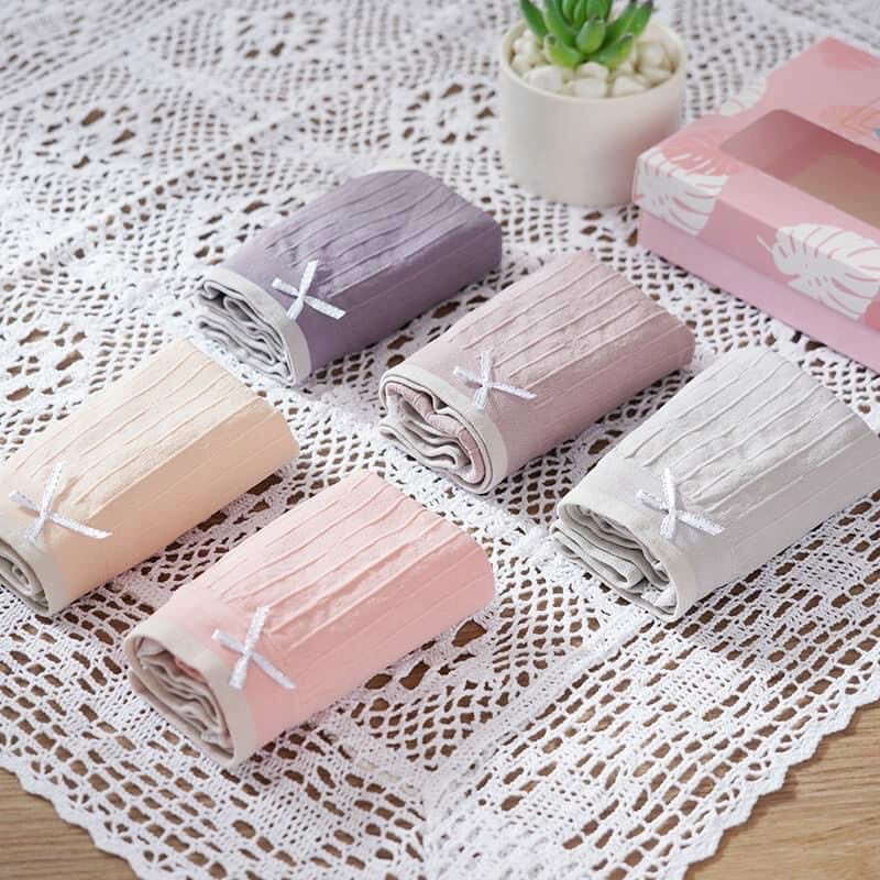 Set 5 quần chip nữ cotton đính nơ màu trơn mềm mịn Khánh khuẩn nâng Mông tôn dáng