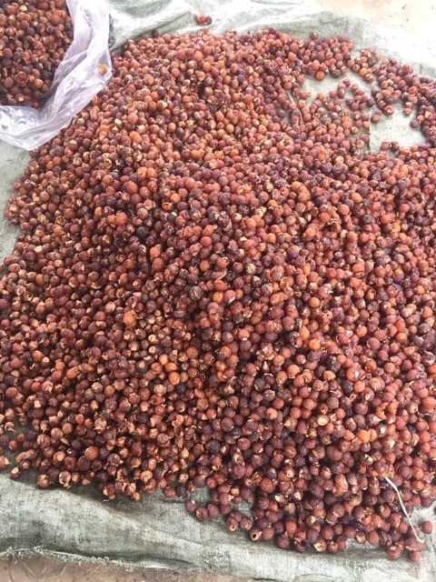 Quả bồ hòn tách hạt 1kg - kèm quà tặng (cam kết hàng loại 1) | BigBuy360 - bigbuy360.vn