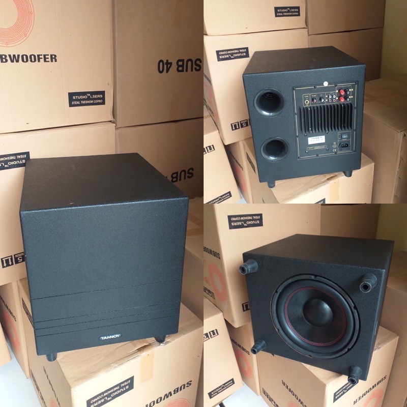 Loa trầm điện Bass 30 Taynoy