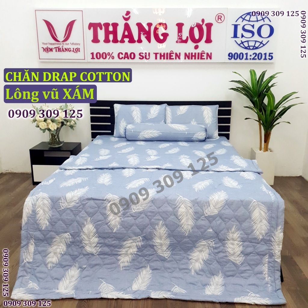 Vỏ gối nằm, ôm cotton Thắng Lợi, ga giường chính hãng ( ảnh thật) | BigBuy360 - bigbuy360.vn