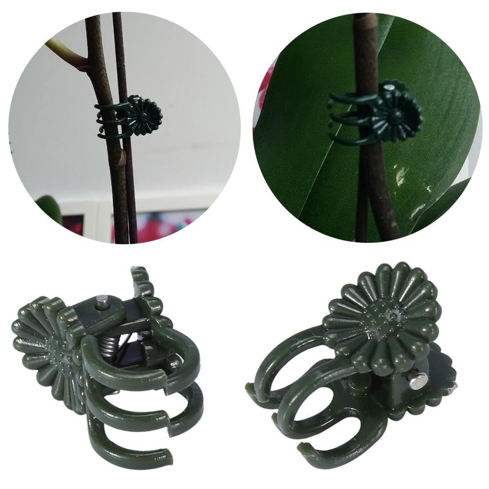 5PCS Kẹp bằng nhựa dùng cố định cây cho trồng hoa lan tiện dụng