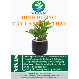 Phân bón cây cảnh nội thất