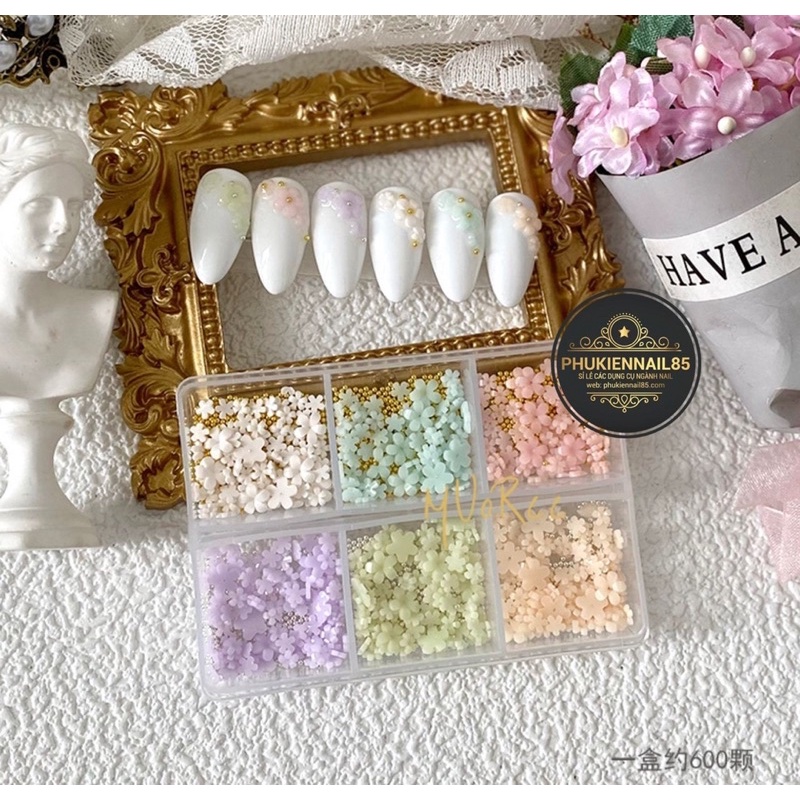 set hoa sứ mix bi 6 màu