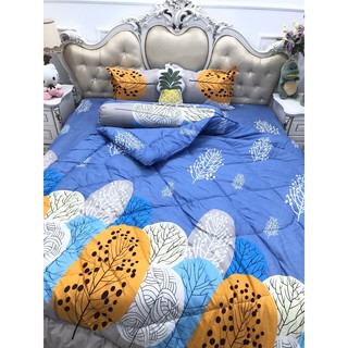 Vỏ chăn lồng ruột hình lá cọ