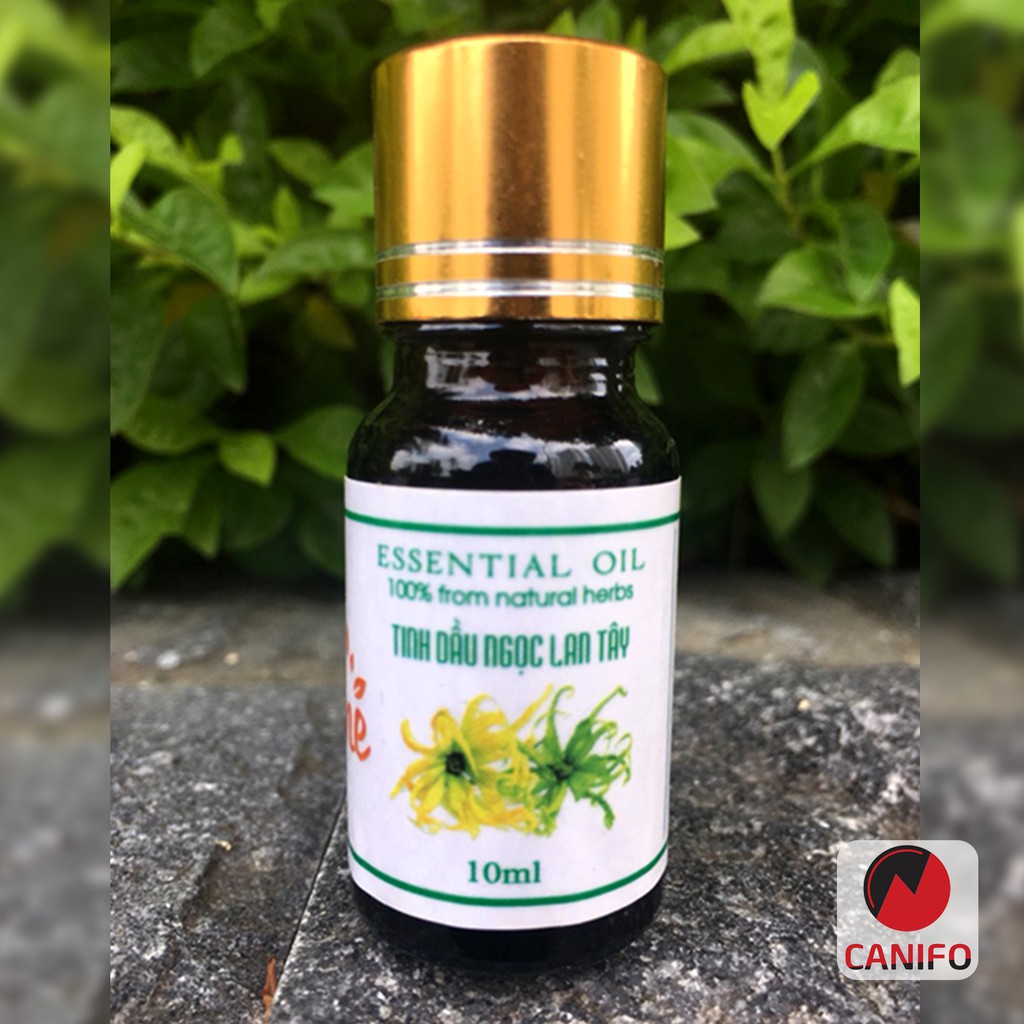 Tinh dầu ngọc lan tây Canifo 10ml nguyên chất - Tinh dầu Ylang Ylang, Hoa ngọc lan tây quyến rũ, Thơm nức phòng