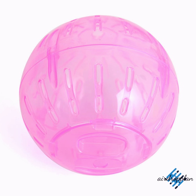 Bóng Đồ Chơi Bằng Nhựa Cho Chuột Hamster