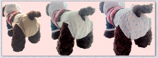 Pet Soft - Bỉm cho thú cưng ( giá lẻ 1 chiếc )