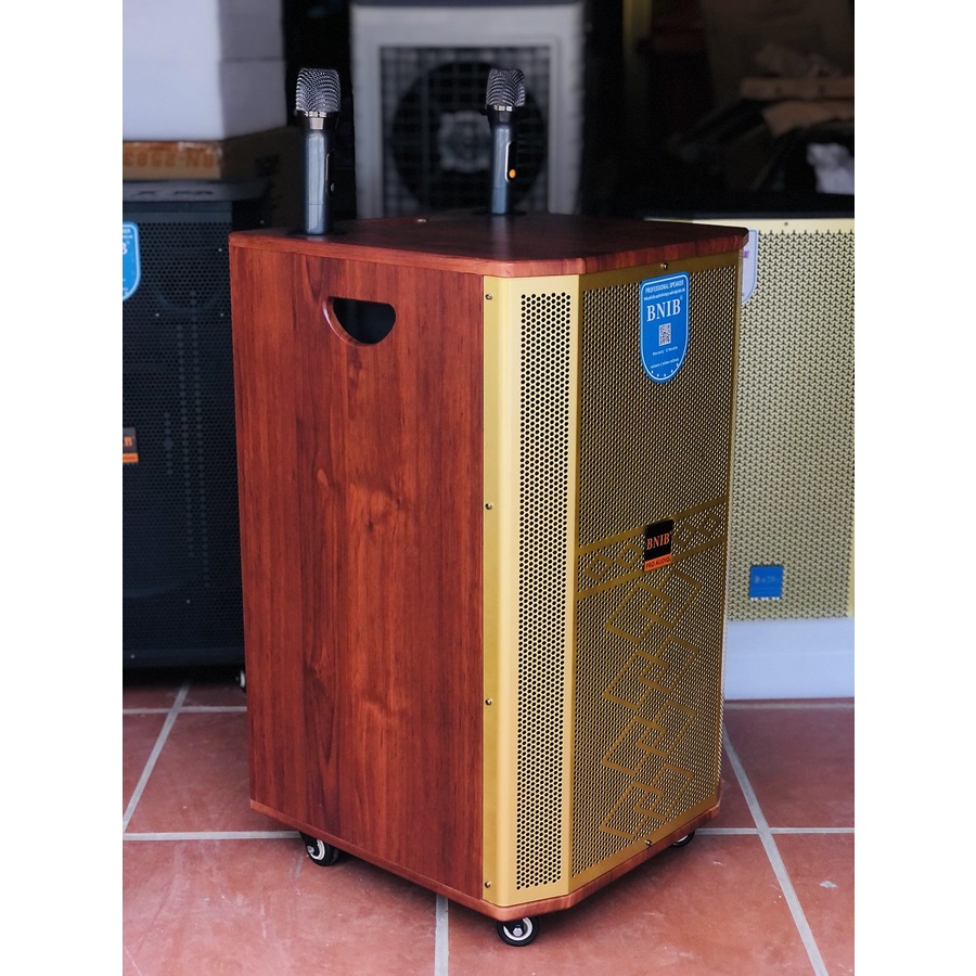 Loa kéo BNIB BASS 40, 3 đường tiếng Tặng 2 micro cao cấp