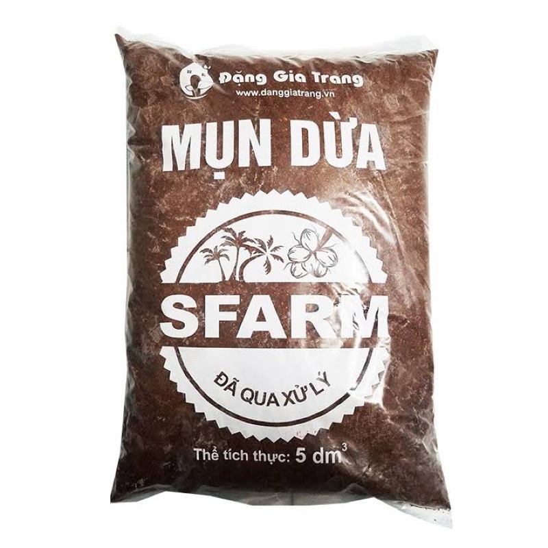 Mụn Dừa Đã Qua Xử Lý Sfarm