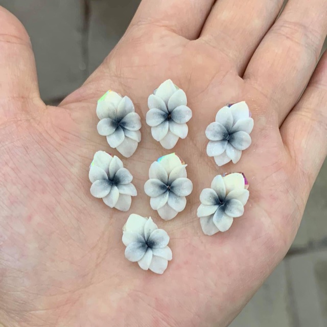 Hoa🌺bột nail