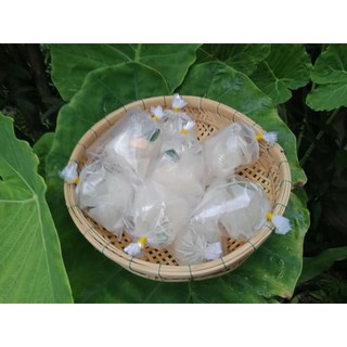 Bánh tráng muối nhuyễn nhà làm