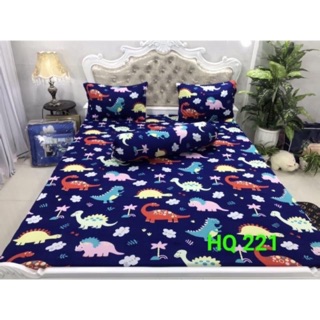 Bộ Drap thun han quốc