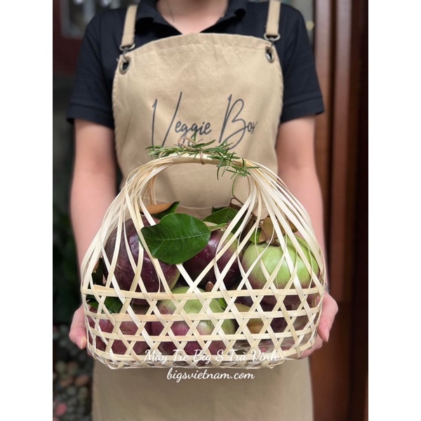 Giỏ Đựng Dưa Lưới, Quà Tặng G4.3