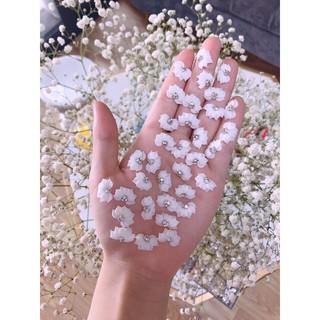Hoa cánh nhọn