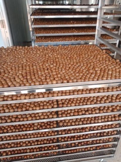 Mắc Ca Sạch Nứt Vỏ Lai Châu (1kg /300k)