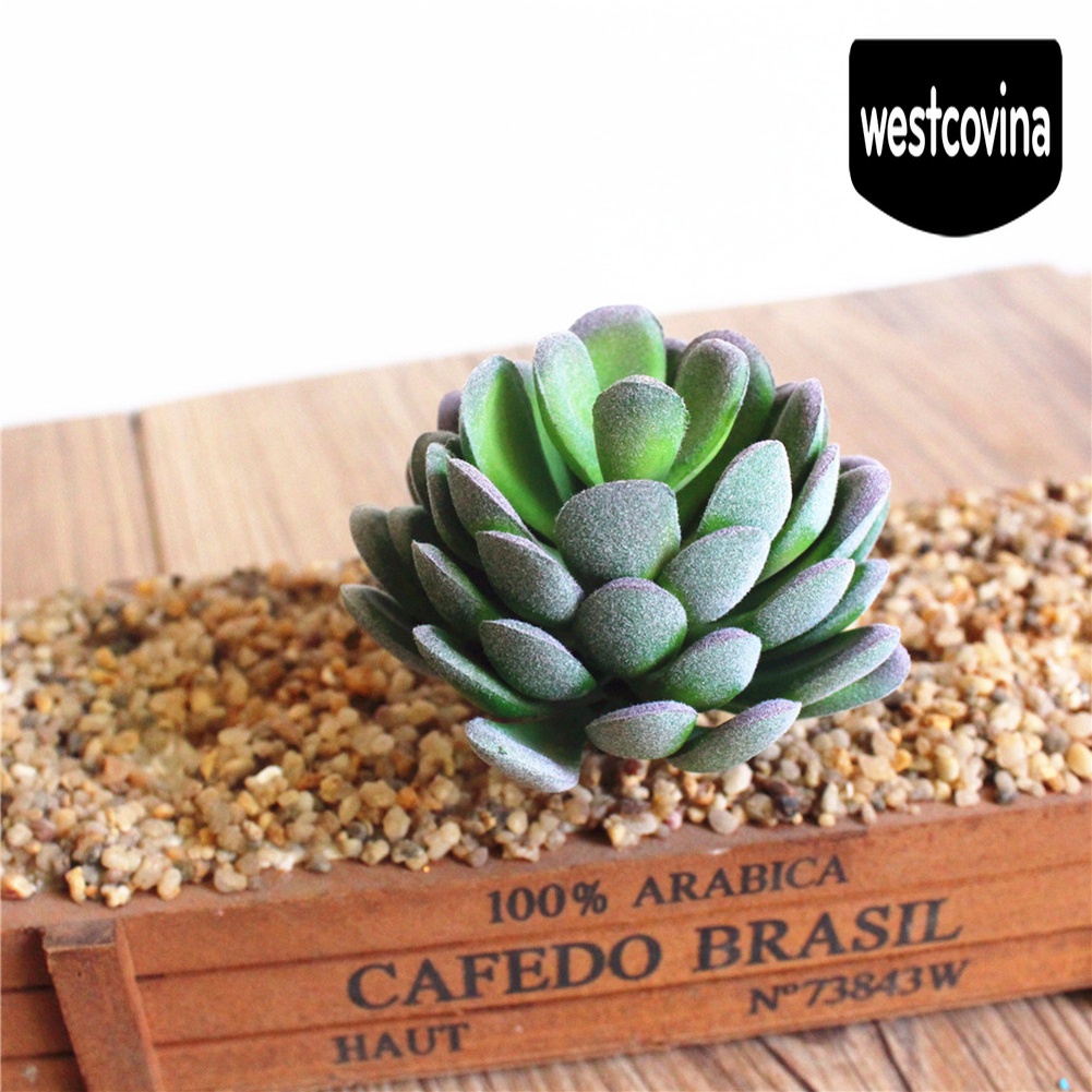 [Hot]☀ Chậu Cây Bonsai Mini Nhân Tạo Để Bàn Trang Trí Tiệc Cưới / Nội Thất Nhà