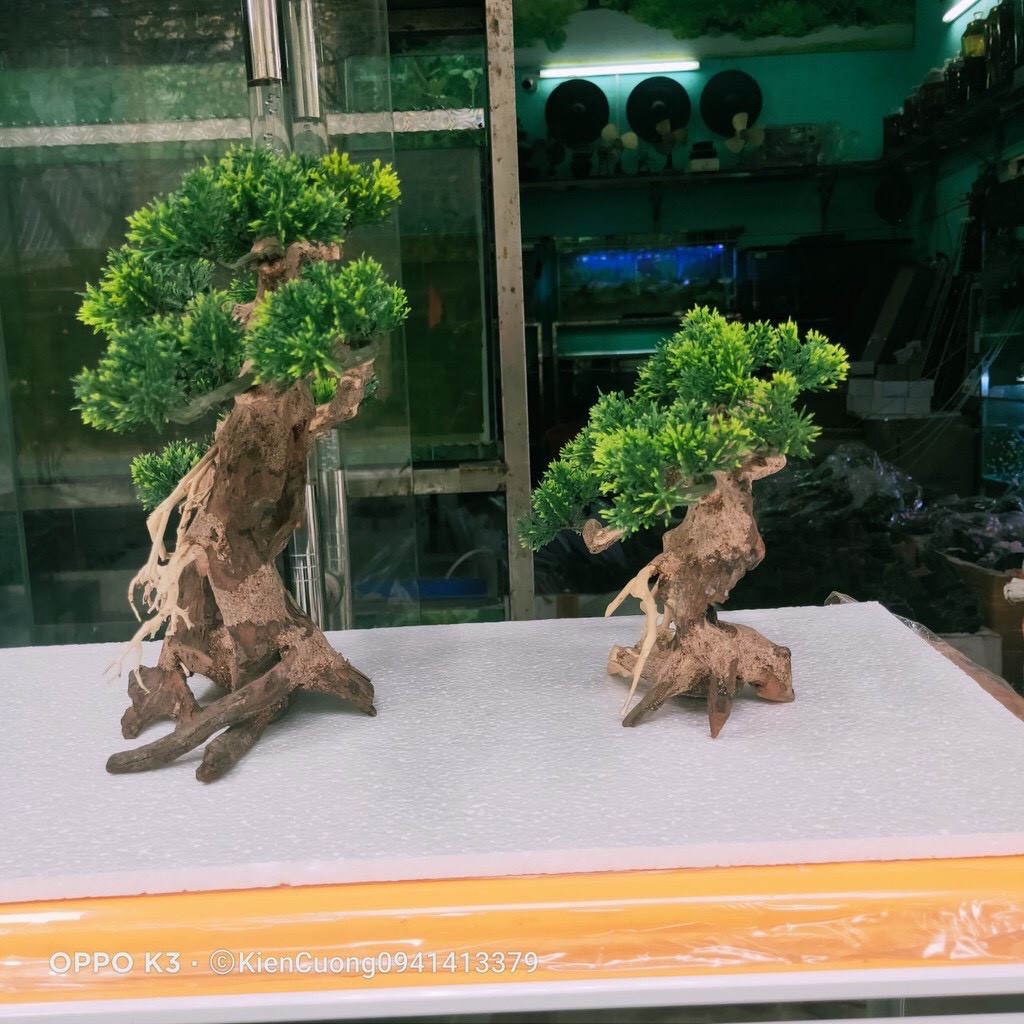 Cây gỗ lũa thủy sinh có tán lá nhựa, dùng cho bể cá cảnh, cây gỗ lúa cao cấp