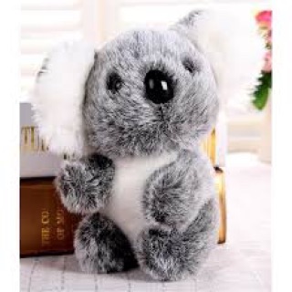 SET KOALA NHỒI BÔNG ĐỦ SIZE